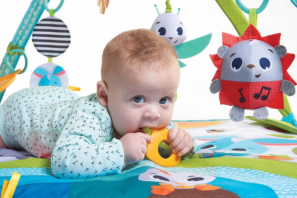 Tiny Love Meadow Day Sunny Day Gymini