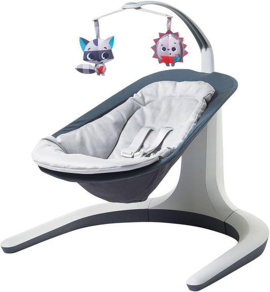 Tiny Love Nature's Way Bounce & Sway - Gray