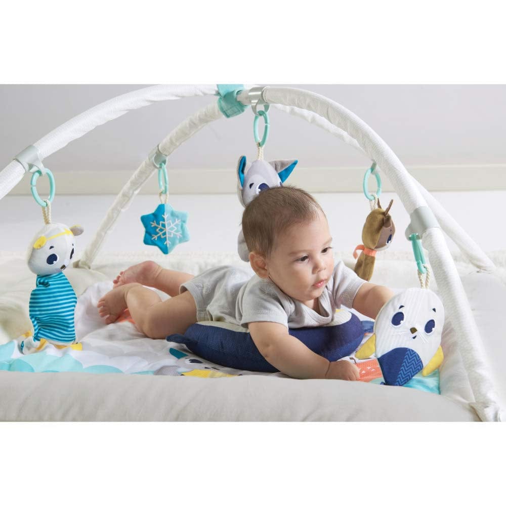 Tiny Love Polar Wonders Plush Gymini Activity Mat - TO0680700