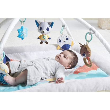 Tiny Love Polar Wonders Plush Gymini Activity Mat - TO0680700