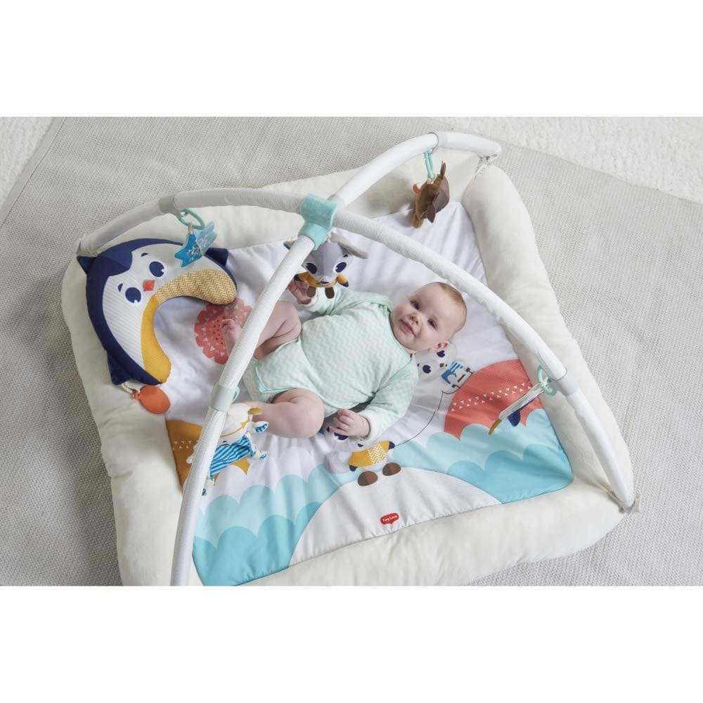 Tiny Love Polar Wonders Plush Gymini Activity Mat - TO0680700