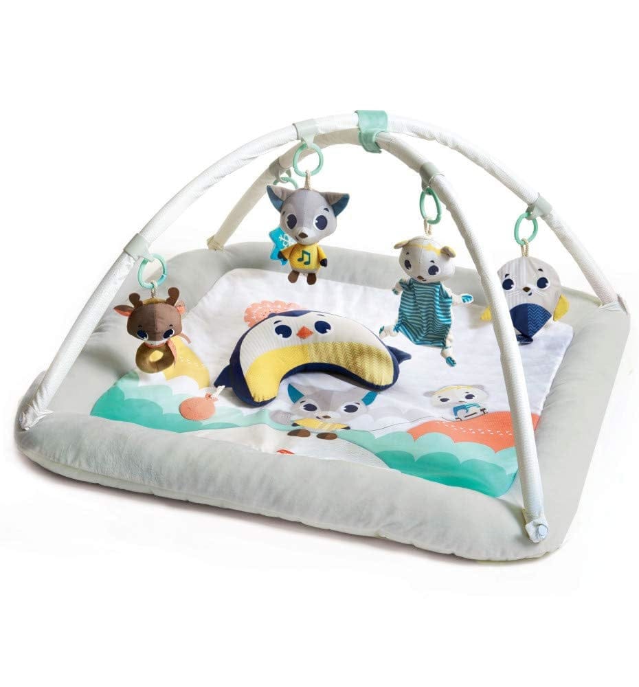 Tiny Love Polar Wonders Plush Gymini Activity Mat - TO0680700
