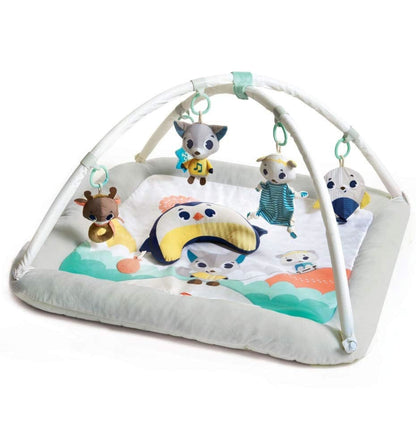 Tiny Love Polar Wonders Plush Gymini Activity Mat - TO0680700