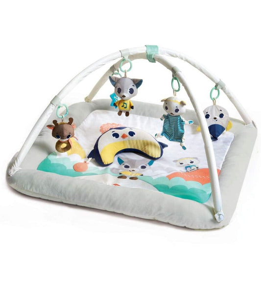 Tiny Love Polar Wonders Plush Gymini Activity Mat - TO0680700