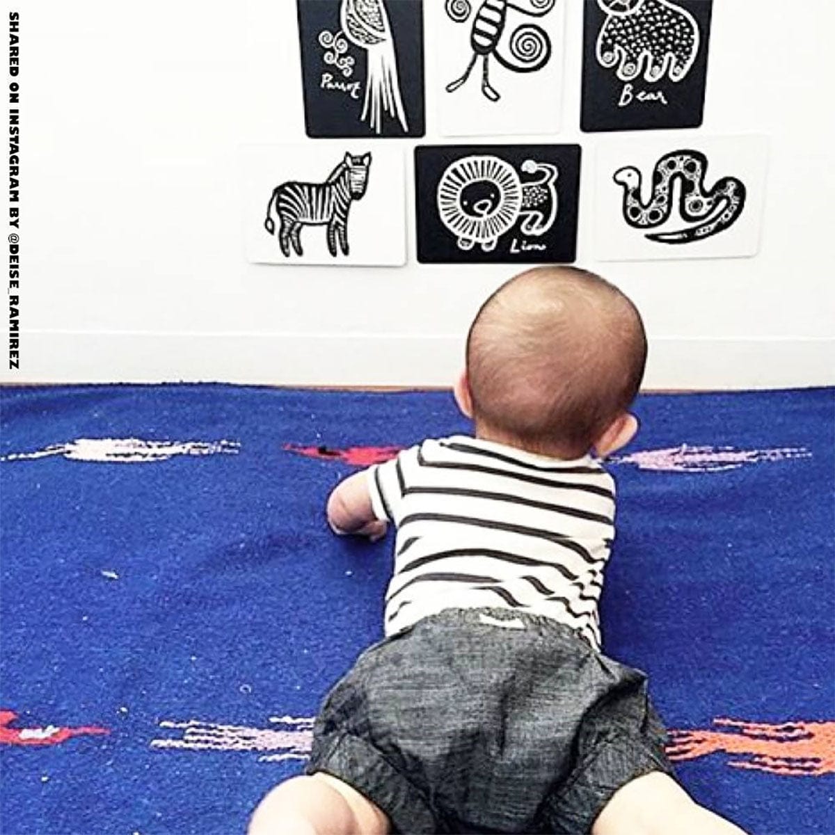 Wee Gallery Art Cards for Baby - Farm Collection - WG103