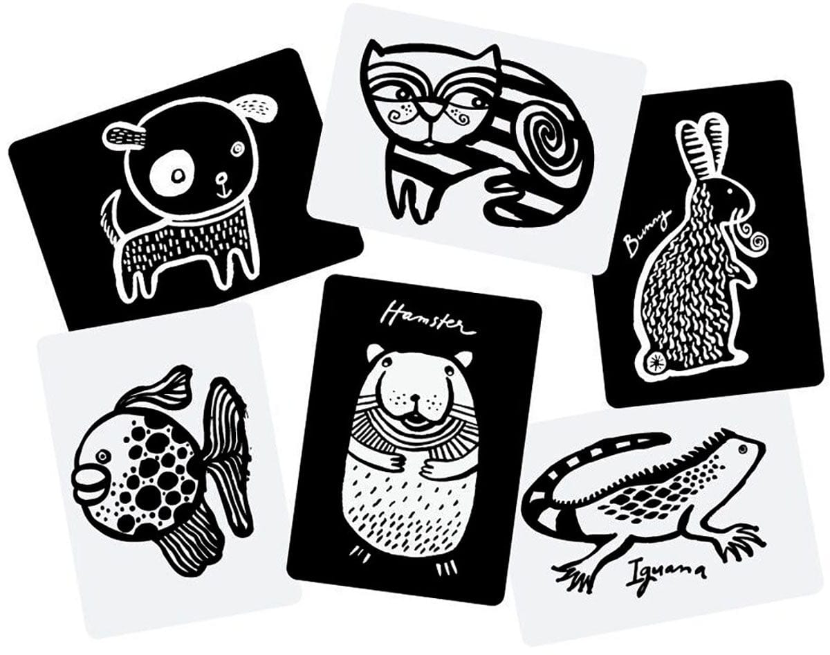 Wee Gallery Art Cards for Baby - Pets Collection - WG108