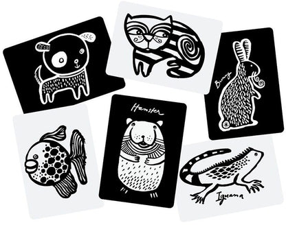 Wee Gallery Art Cards for Baby - Pets Collection - WG108