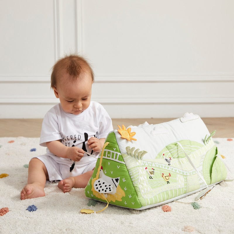 Wonder & Wise Farm Activity Tummy Time Toy Wedge - 1100800110