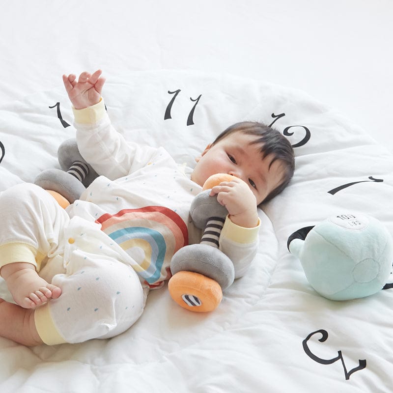 Wonder & Wise Little Lifter Plush Weights - 1012602410