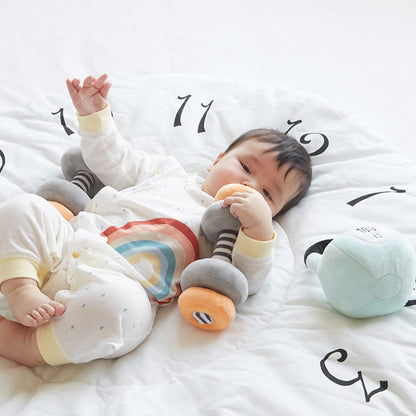 Wonder & Wise Little Lifter Plush Weights - 1012602410
